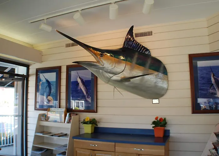 The Spinnaker Ocean City